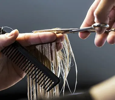 Styles and Collection - 竞彩网taihao